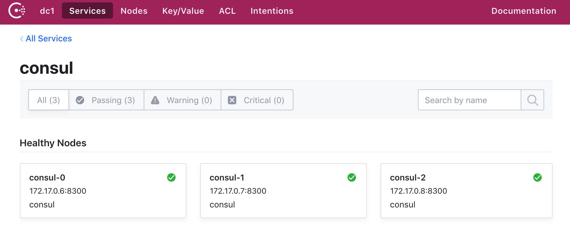 consul dashboard